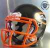 Oviedo Lions HS 2015 (FL)